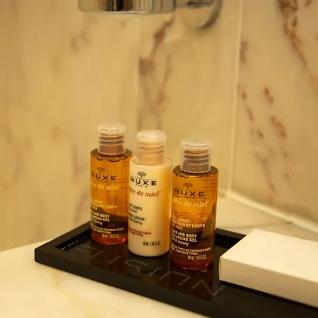 Mermoz Hotell Toulouse