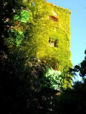 Hotel Mermoz